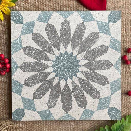 BỒ CÔNG ANH T1 (1)(1).JPG